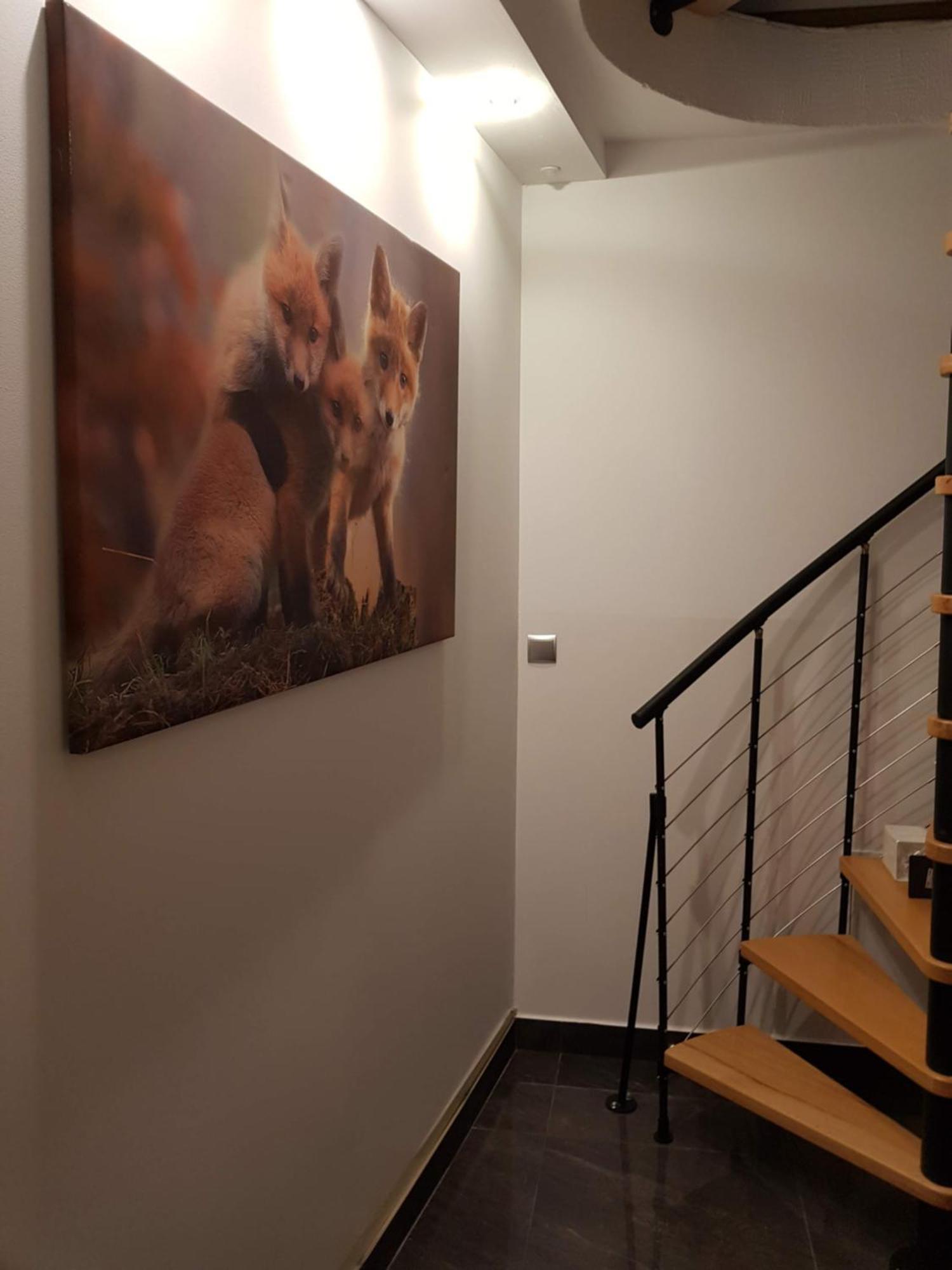 Apartamenty Magiczny Kacik Poronin Exterior foto